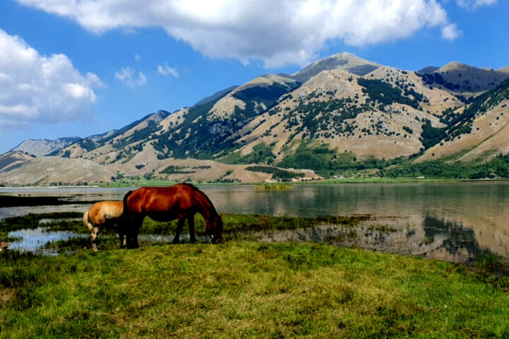 Parco del Matese