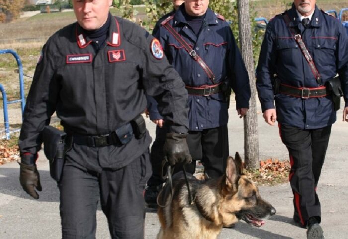 carabinieri unita cinofila