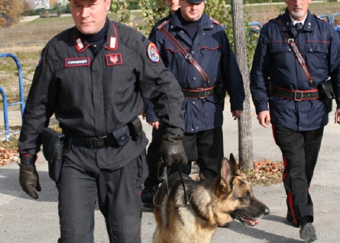 carabinieri unita cinofila